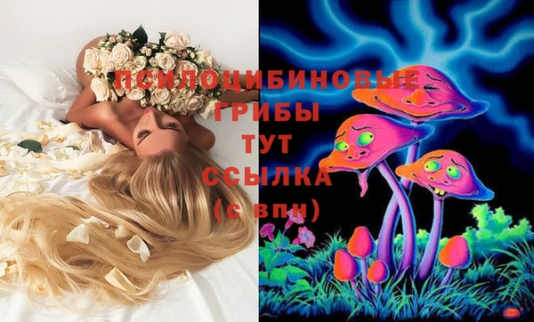 каннабис Беломорск