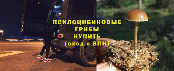 MDMA Premium VHQ Белокуриха