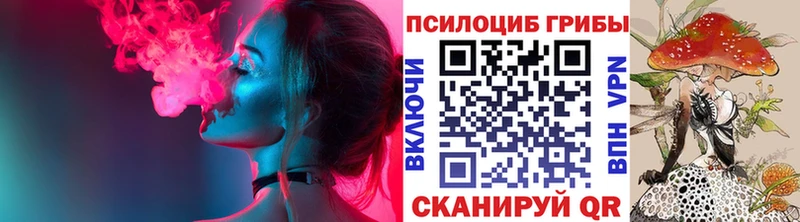 где найти наркотики Конаково Псилоцибиновые грибы Psilocybe